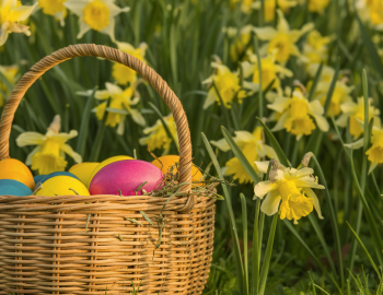 Southport's Annual Easter Egg Hunt Southport's Annual Easter Egg Hunt