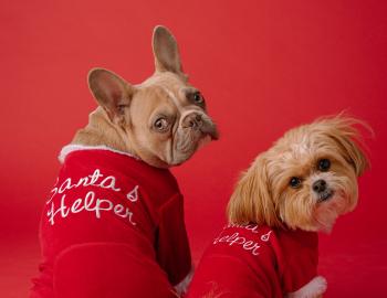 Pet Pictures with Santa Details