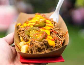 Loaded nachos with BBQ pork