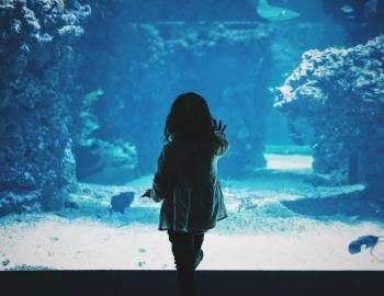 Little girl standing in front of an aquarium