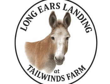 Long Ears Landing Long Ears Landing