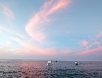 Charter boats on the water at sunset