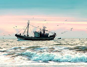 A boat on the water for a fishing charter