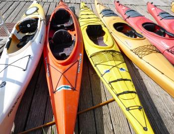Kayaks lined up ready to be used