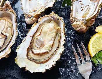 Oysters on ice at a fine bistro