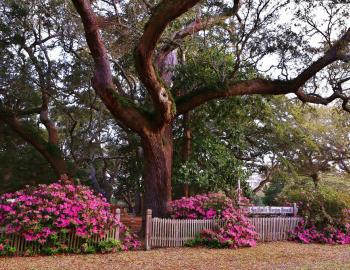 Smithville Burying Ground