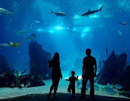 Family standing in front of an aquarium