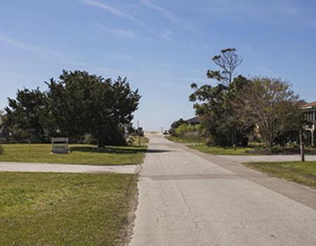 Sunny, tree lined road to the beach from an Oak Island vacation rental