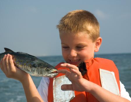 spanish mackerel oak island