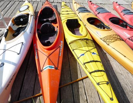 Kayaks lined up ready to be used