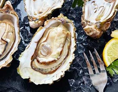 Oysters on ice at a fine bistro