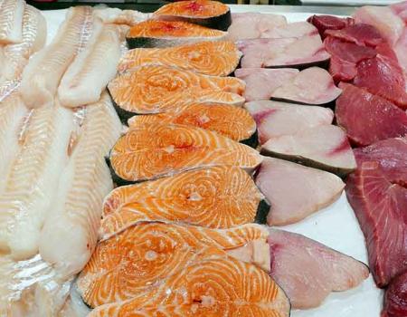 Fresh seafood in a showcase at a fish market store