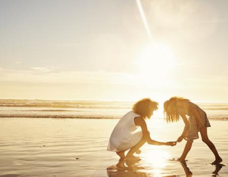 sunrise shell collecting
