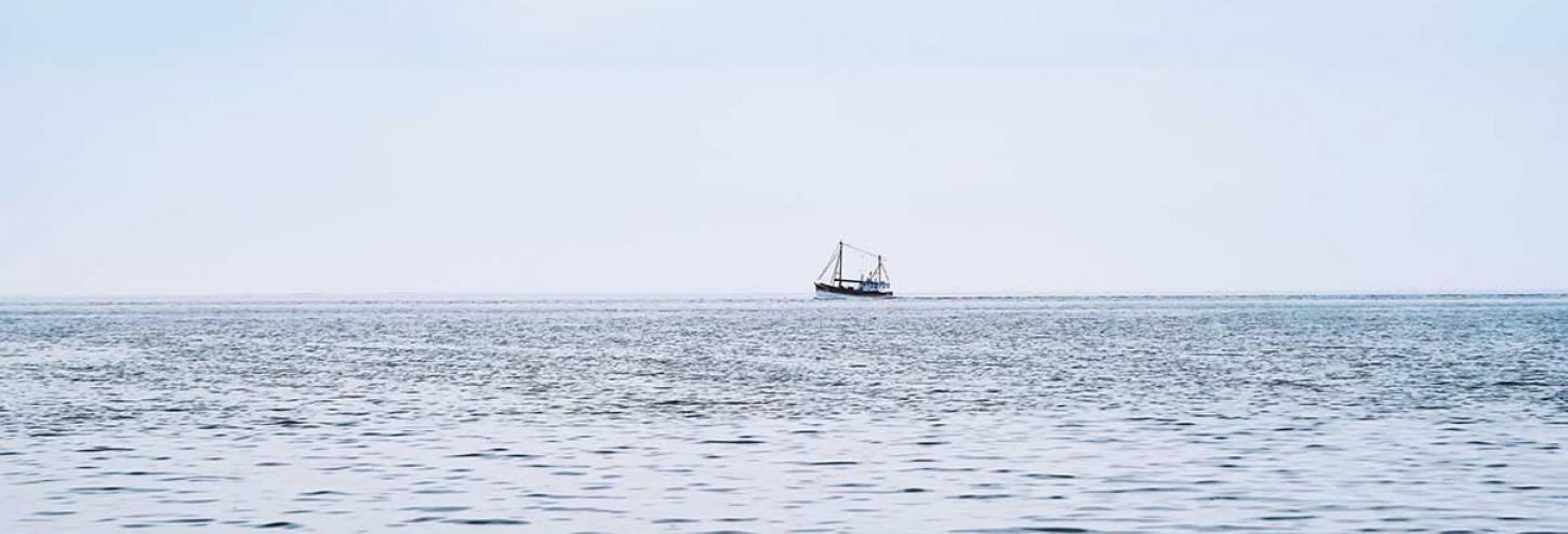 Fishing charter out at sea