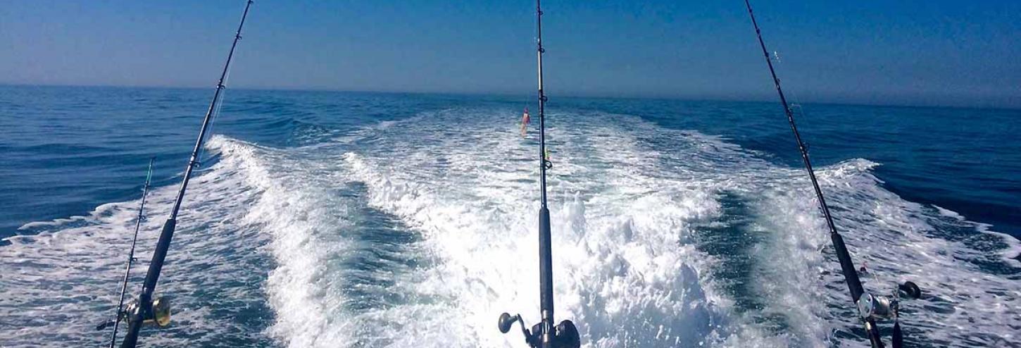 Fishing poles off the back of a charter boat with bright blue skies