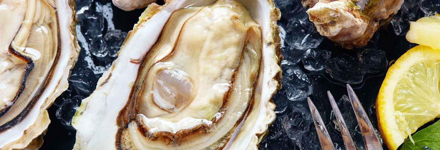 Oysters on ice with lemon