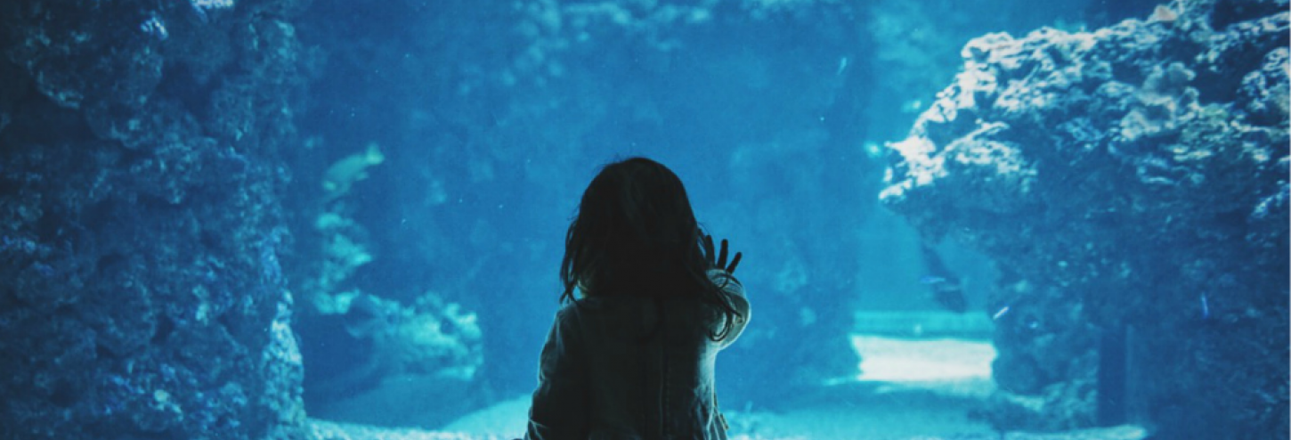 Young girl admiring fish in front of an aquarium