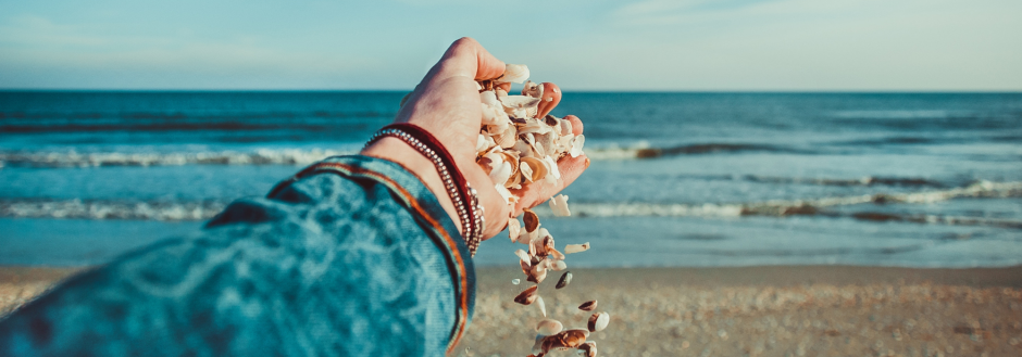 Best Beaches for Shells in Oak Island