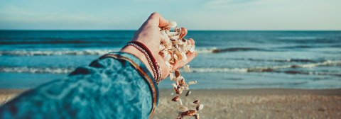 3 Best Places To Find Shells On Oak Island Nc Rudd S Oak Island Guide