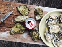 Fun Facts About Oysters