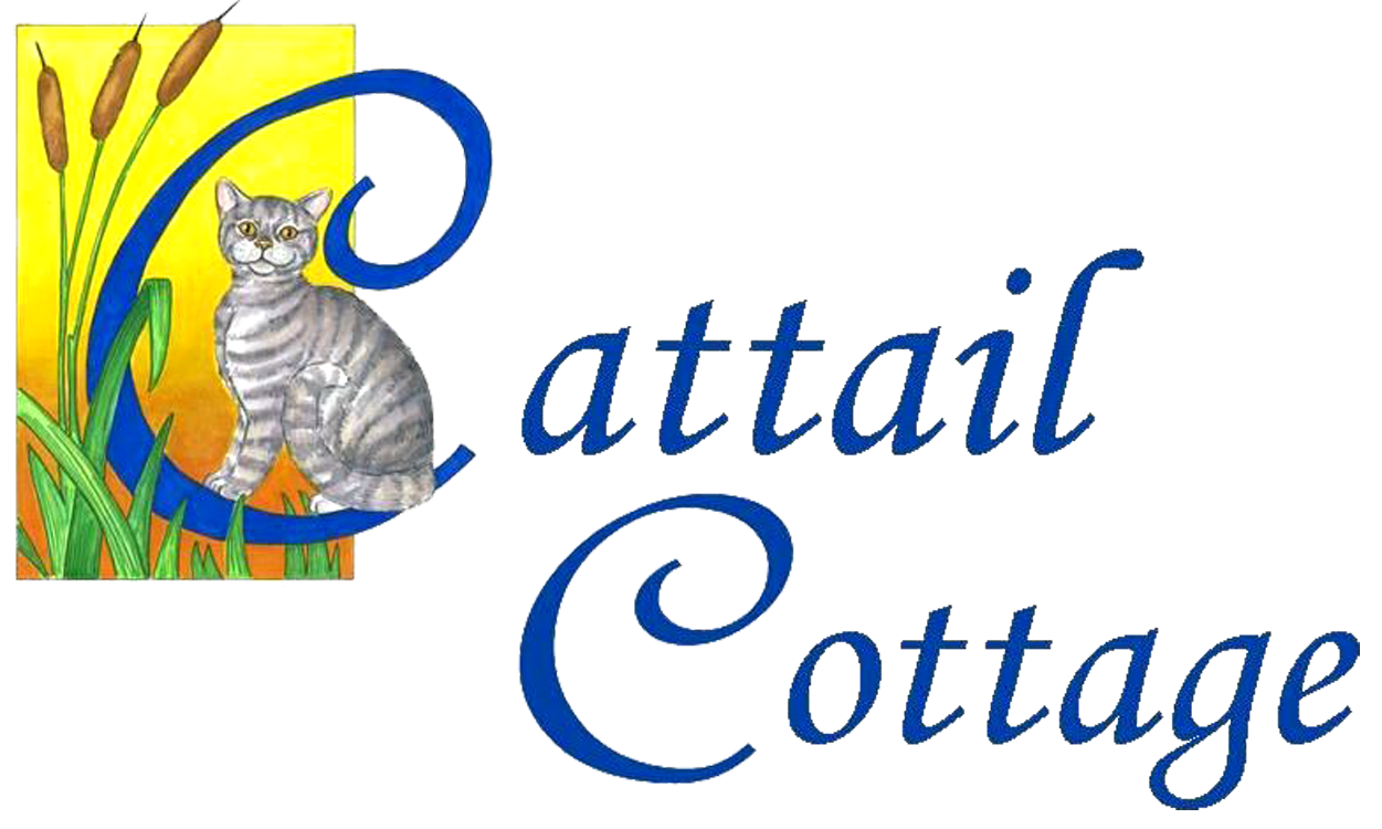 Cattail Cottage Southport NC Cattail Cottage Southport NC
