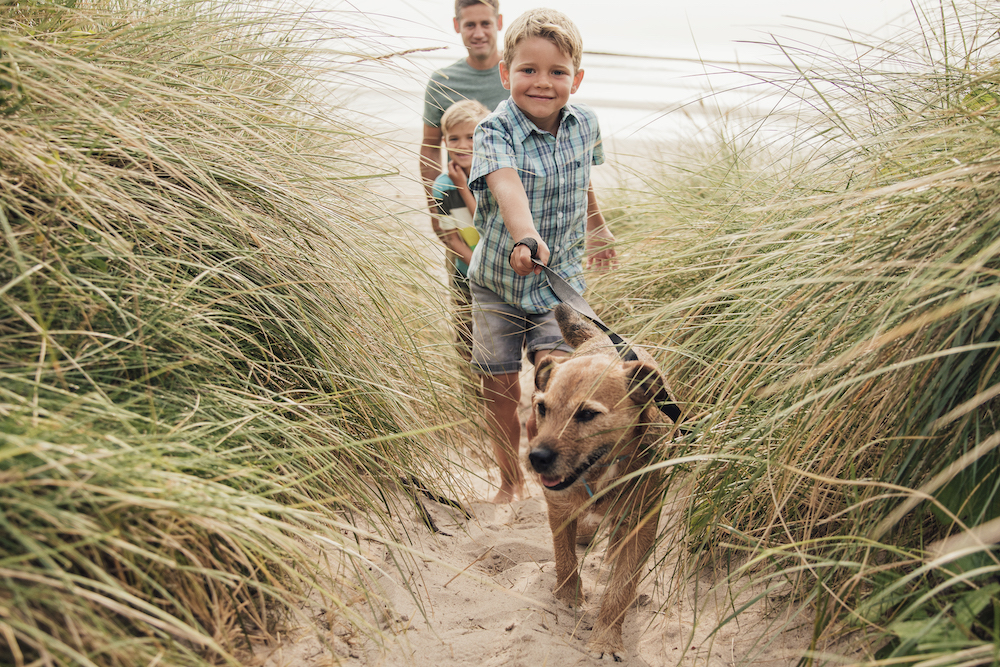 dog at beach with family