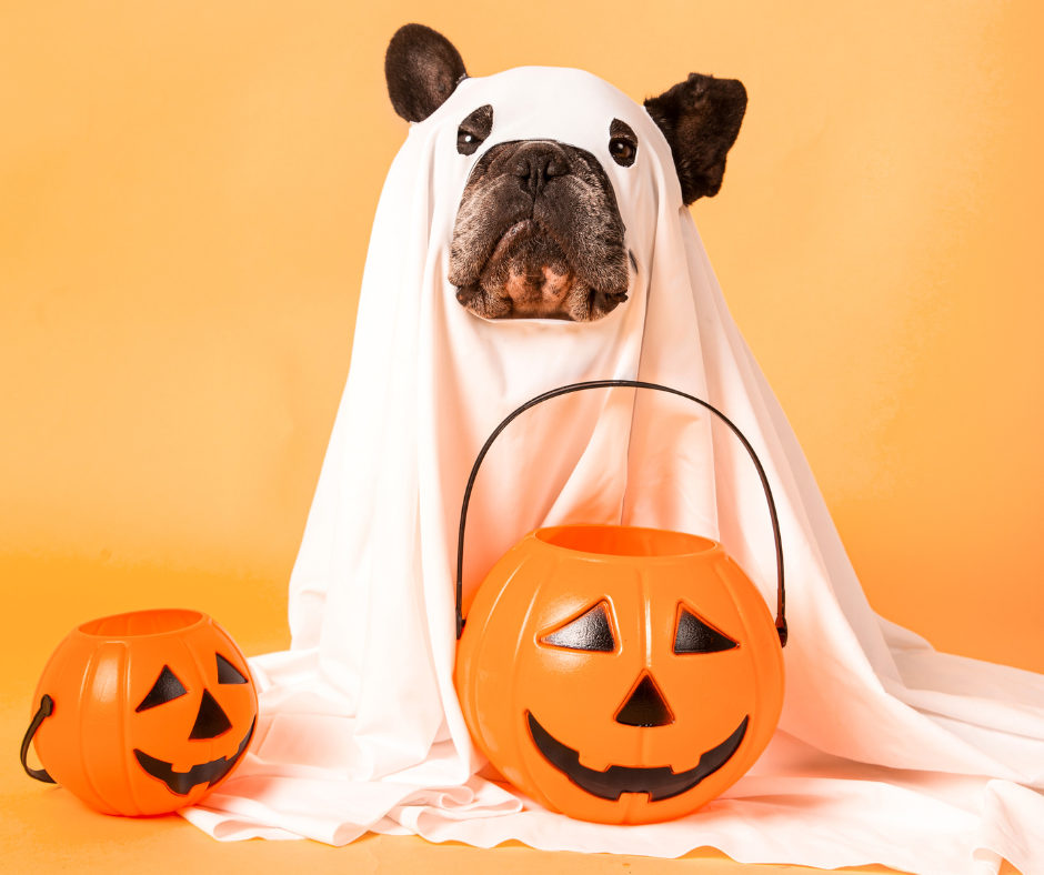 Howl-O-Ween Bowser Bash Howl-O-Ween Bowser Bash