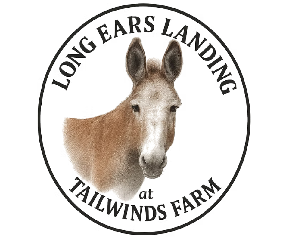 Long Ears Landing