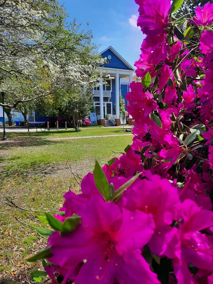 Franklin Square Gallery Southport NC