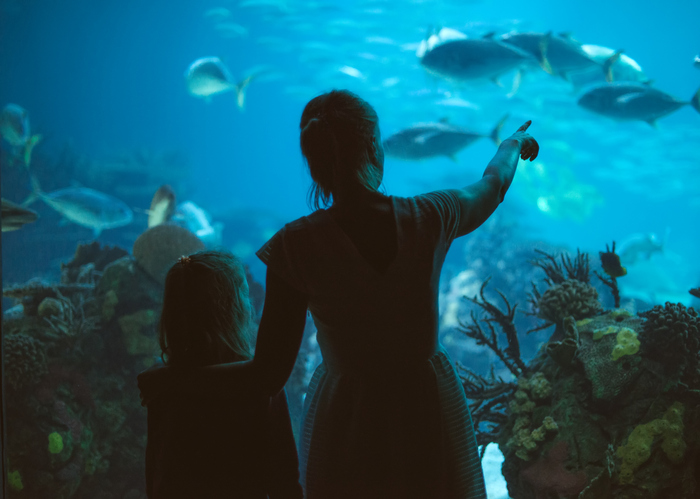 A mother and daughter admire the aquarium