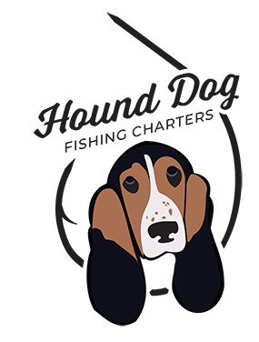 Hound Dog Fishing Charters Hound Dog Fishing Charters