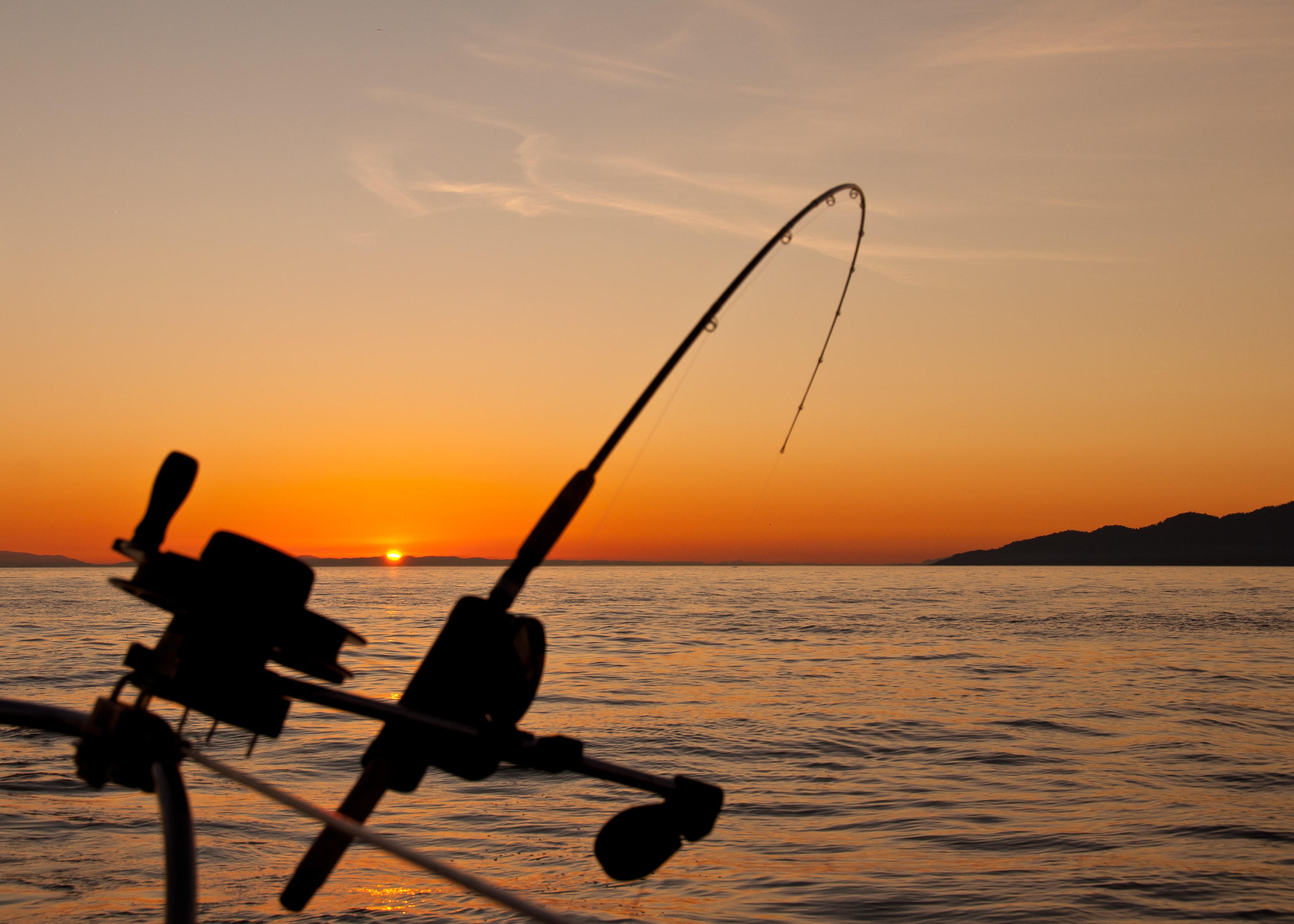 Reeling Pelican Fishing Charters Reeling Pelican Fishing Charters