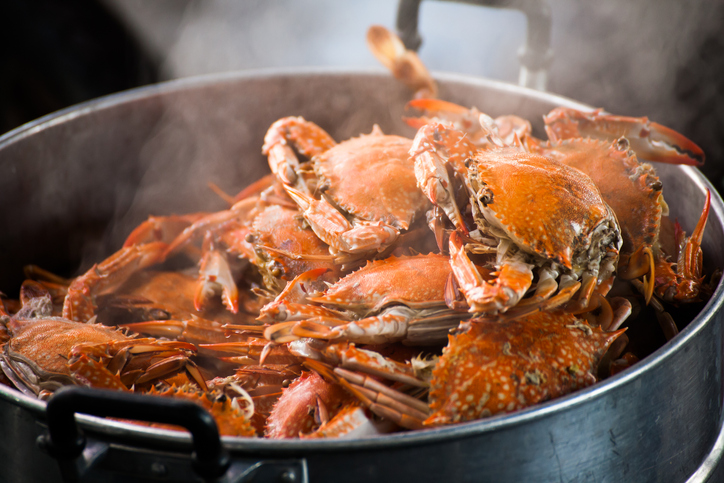 Moore Street Oyster Bar steamed crabs