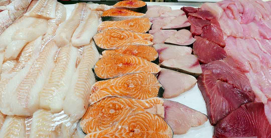 Fresh seafood in a showcase at a fish market store