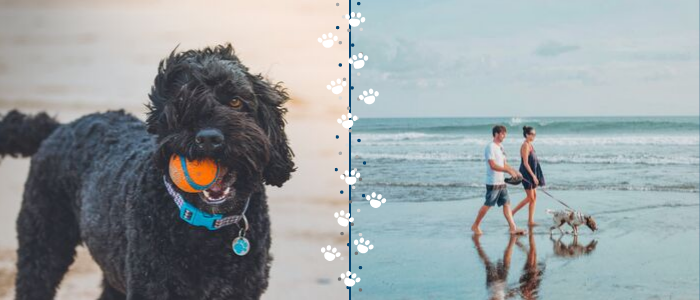 Pet Friendly Oak Island Vacation