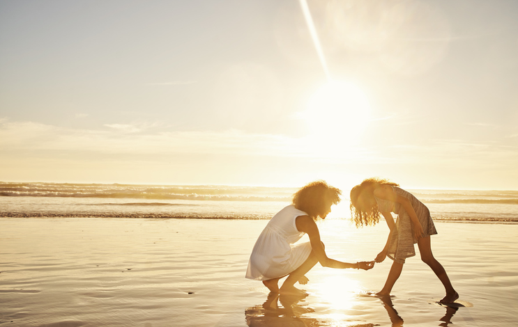 sunrise shell collecting