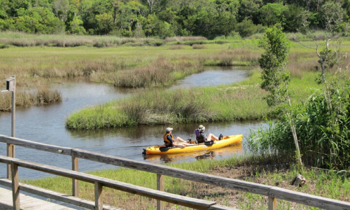 Kayak the Davis Canal