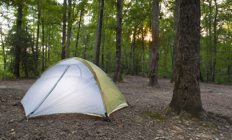 uwharrie national forest