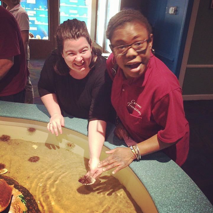 Touch Tank Museum of Coastal Carolina Ocean Isle Beach NC